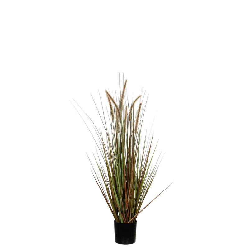 Dohera Faux Grass Plant in Plastic Pot, Green, 150cm H x 70cm W x 70cm D