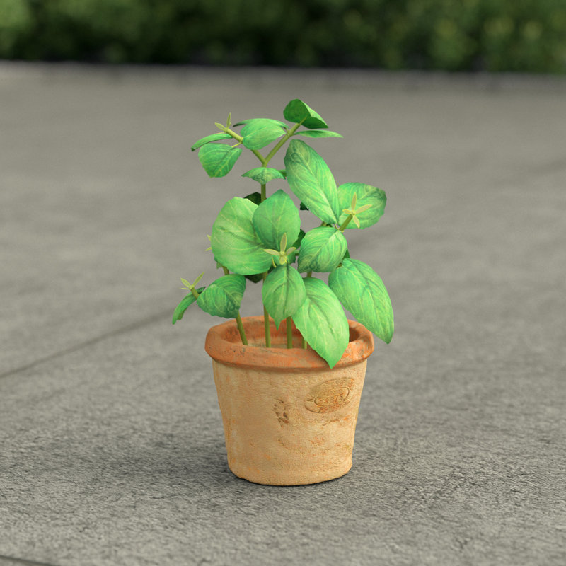 Artificial Basil in Aged Terracotta Pot, H15.4 x W8.6 x D8.6cm