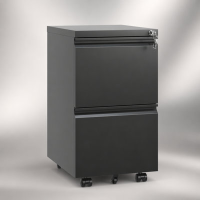 2 Drawer Metal Mobile File Cabinet, Rolling with Lock for Legal/Letter/A4, Fully Assembled Except Wheels