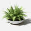 Pot à fleurs Pure Series Lane-1299484470-1208986581-1281804845