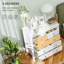 Hodgins 10cm W 5 - Drawer Chest of Drawers-657235537