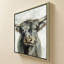 Vache Highland-276928945-276928947