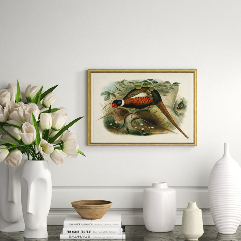 Pheasants From Gould's Birds Of Australia 13 Giclee Print by John Gould