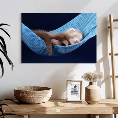 Ferret Hammock