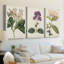 Collection Antique Botanical Antique - Toile tendue sur mesure - 3 pièces-897435483