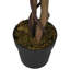 Faux Maple Tree in Pot-1385737940
