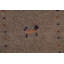 Tapis oriental tribal beige Gabbeh 8