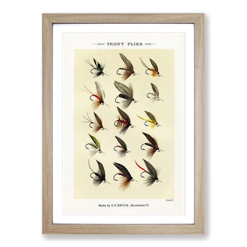 Trout Fishing Flies Version 8 by Mary Orvis Marbury - Picture Frame Painting Print, 50cm H x 35cm W x 2cm D, Oak