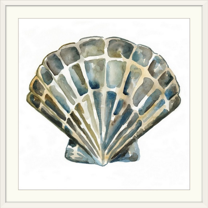 « iv » chariklia zarris, reproduction d’art Aquarelle Shells, H 28 x l 28 po x P 1 po, Cadre blanc