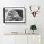 Little Owl - Picture Frame Graphic Art Print-56860006-56860005