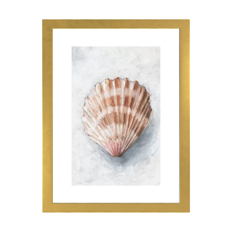 "White Shell Study IV" par Ethan Harper, reproduction d’art, Papier encadré doré, Blanc, H 32 po x l 24 po x P 1 po