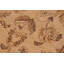 Tapis oriental brun clair / rouge en laine noué à la main 10 pi 3 po x 13 pi 9 po Dorn