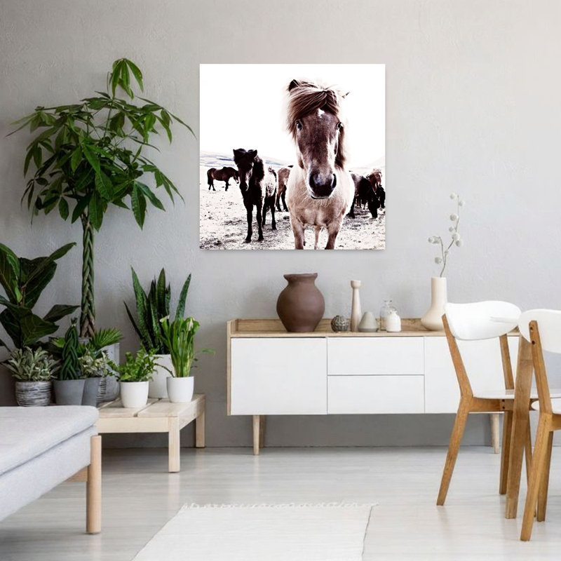 Islande, cheval, Rikka, art contemporain abstrait, paysage de cheval