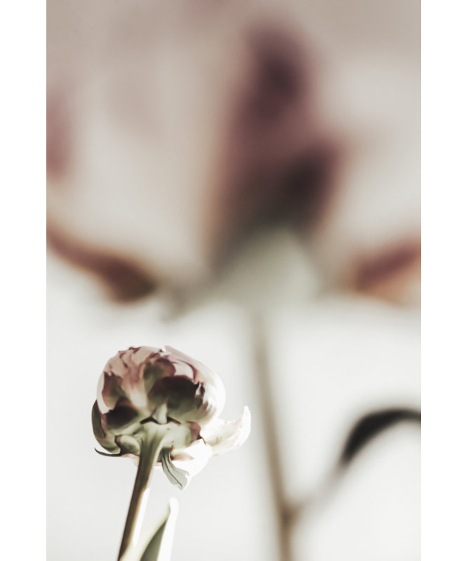 Wrapped Canvas Print, 50.8 cm H x 76.2 cm W