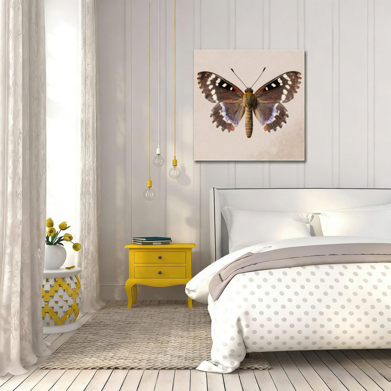 Ailes de papillon brun détaillées, art mural sans cadre, 16 x 16