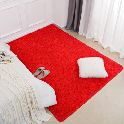 Long-haired Indoor Area Rugs