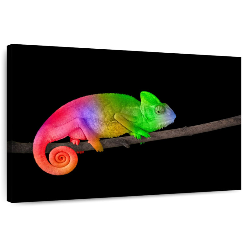 Brampt Rainbow Chameleon, 20" H x 30" W