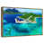 Floating Frame Gold