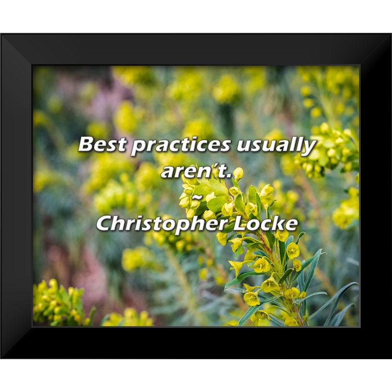 Christopher Locke Quote: Best practices usually aren’t.