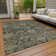 Segin Area Rug with Non-Slip Backing