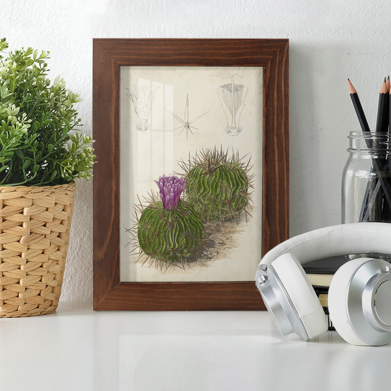 Cactus antique II - impression encadrée avec verre, H 6 po x l 4 po x P 1 po, Châtaigne