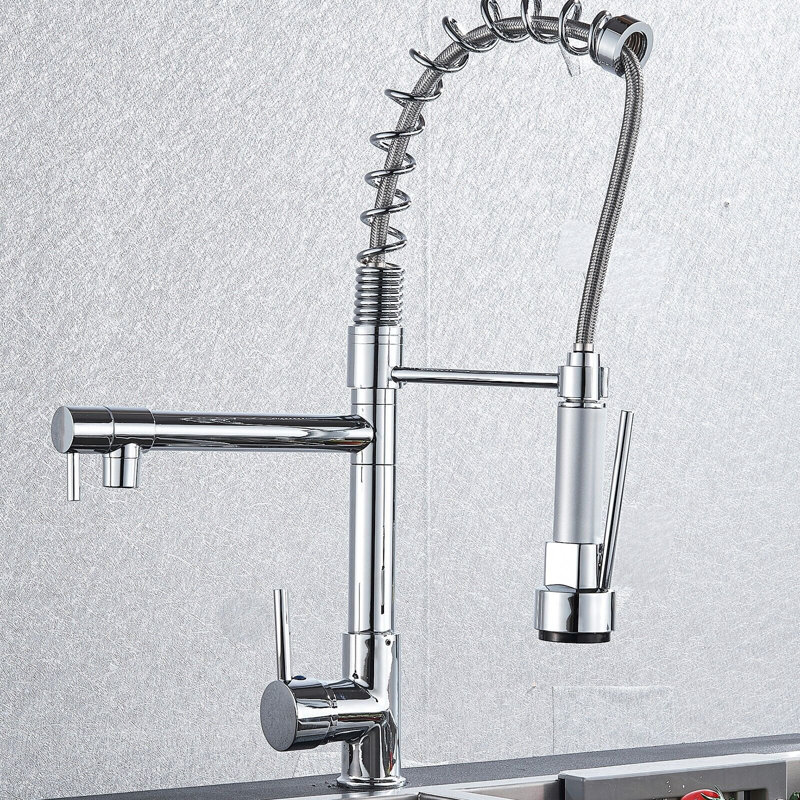 Belfry Kitchen Aucuba Kitchen Faucet