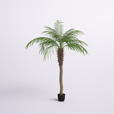 Artificial Potted Phoenix Palm Tree