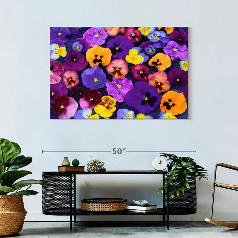 Harnek Pansy Colors, 30'' H x 45'' W