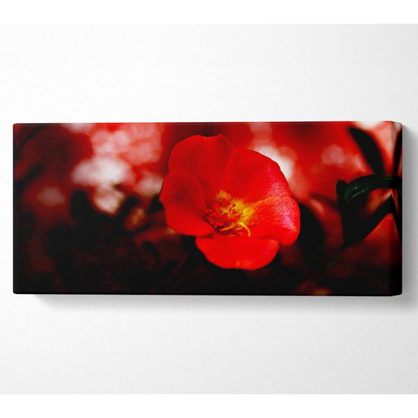 Ebern Designs Cherry Red - Wrapped Canvas Art Prints | Wayfair.co.uk