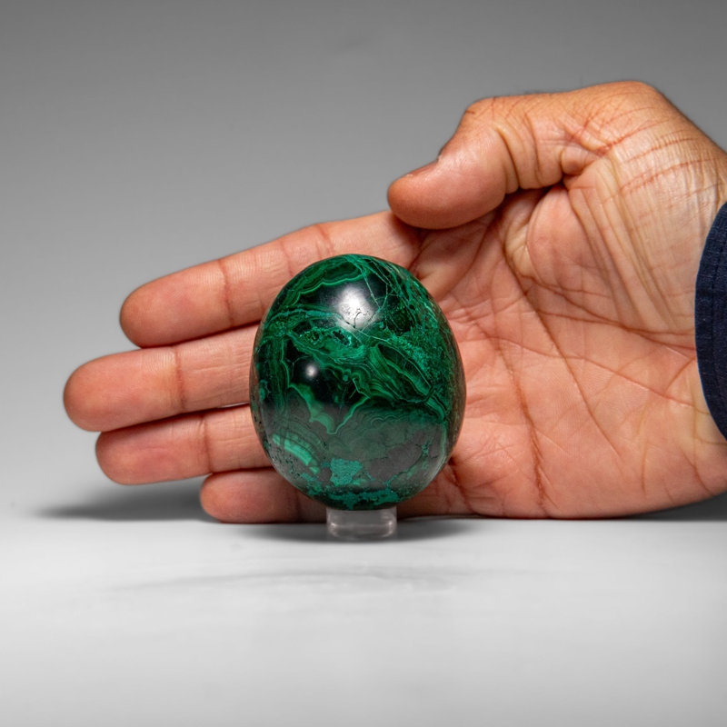 Genuine Polished Malachite Egg (299.8 Grams)