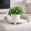 Ensemble de 2 supports pour plantes et supports pour plantes d'intérieur Grigoriy, présentoirs à plantes à piédestal moderne-358073032-375457841