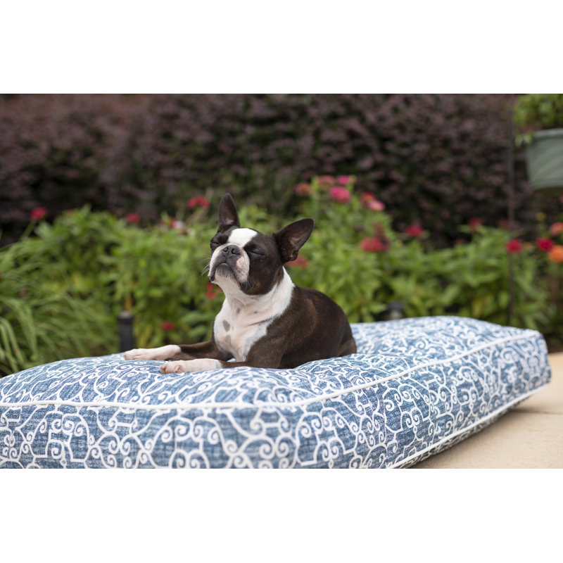 Lit pour chien solarium intérieur / extérieur Snoozer - Collection Wag, Moyen (l 36 po x P 21 po x H 4 po), Damask
