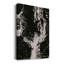 C37 - Impression sur toile tendue-250328929-234566727