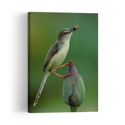 Wild Bird On Lotus Peaceful Contemporary Bird Lotus Nature Summer Wall Art Print 1 Piece Wrapped Canvas Wall Art