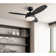 Alloy 42'' Ceiling Fan with Light Kit
