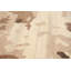 Tapis en laine noué la eternity brune 5 pi x 8 pi one-of-kind Varela