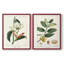 Reproduction encadrée Turpin Tropical Botanicals IX-Premium - prête à être accrochée-1420657864-1420657867
