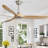 Nicola 60" Ceiling Fan with Remote Control-747933276