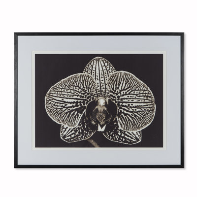 Black Orchid Print