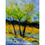 Trees 887160 Print by Pol Ledent-1140671148