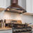 30-in 343-CFM Convertible Vine Embossed Copper Wall-Mounted Range Hood with Carbon Filters