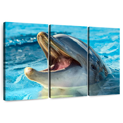 Brampt Smiling Playful Dolphin