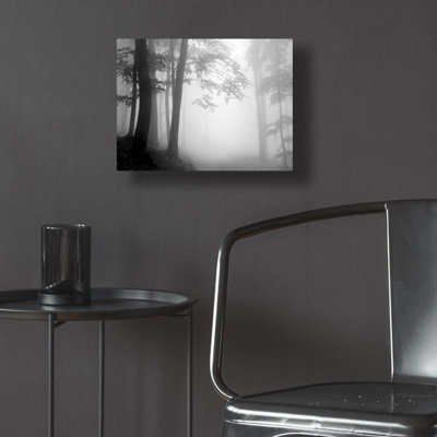 «Woods 1» par Photoinc Studio, art mural en verre acrylique
