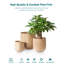Ceramic Pot Planter-29410785