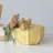 Stoneware Planter with Organically Shaped Detail
