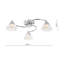 Flush Mount-1542911527