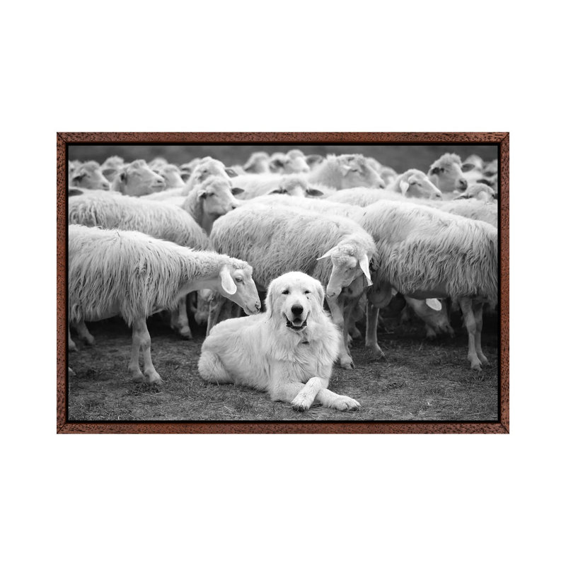 The Boss by Lucian Constantin - Print on Canvas, 45.72cm H x 66.04cm W x 3.81cm D, Classic Brown Wood Floater Framed