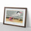 Cayenne Tern Bird with Crab by John James Audubon - Framed Print-55621044-55621045