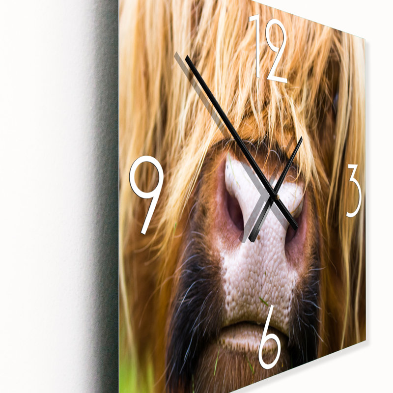 Gros plan sur un bovin Highland en Écosse - Horloge murale de ferme, Moyen