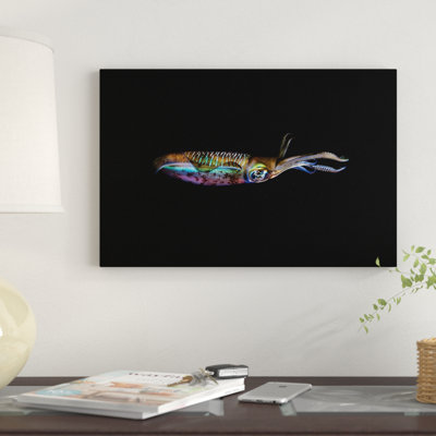 " A Bigfin Reef Squid Off The Coast Of Komodo Island In Komodo National Park I " by Ethan Daniels